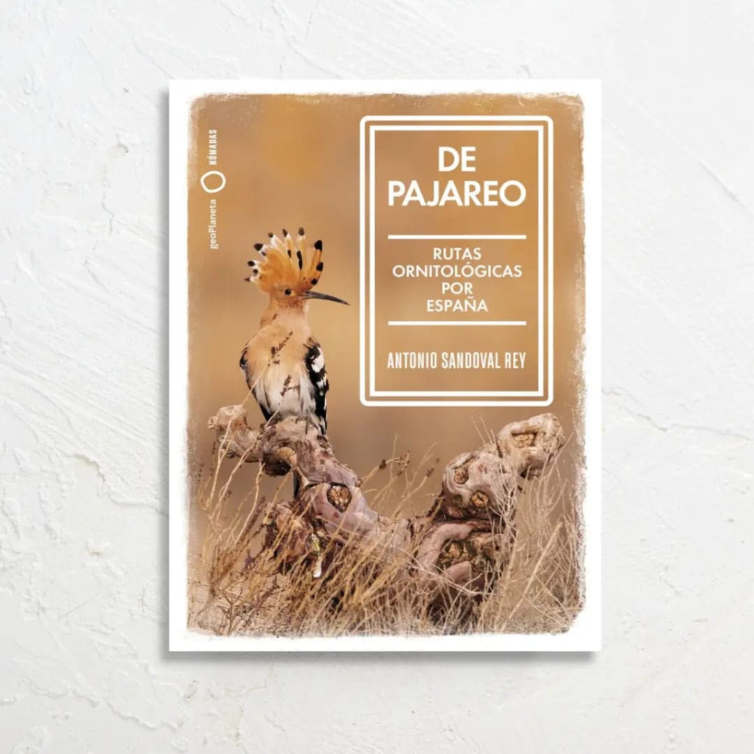 De Pajareo