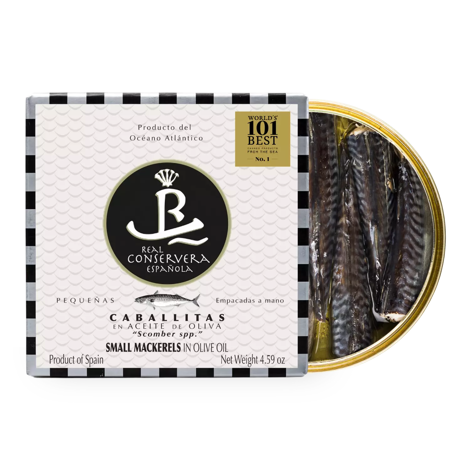 Caballita en Aceite de Oliva