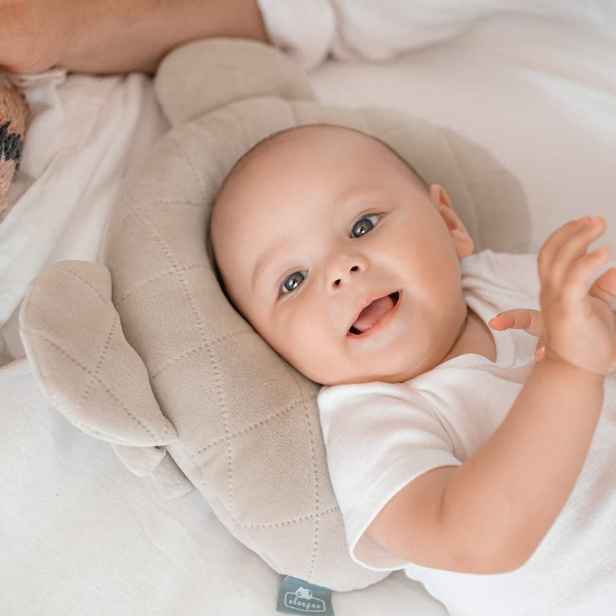 Almohada Cojin Plagiocefalia Bebés Royal Baby Grey
