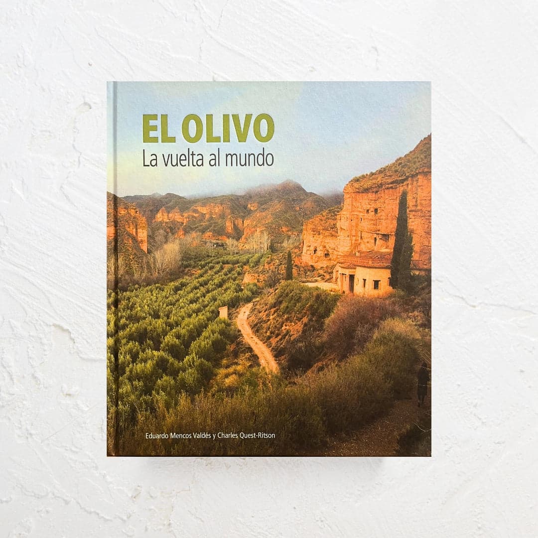 El Olivo - La Vuelta al Mundo