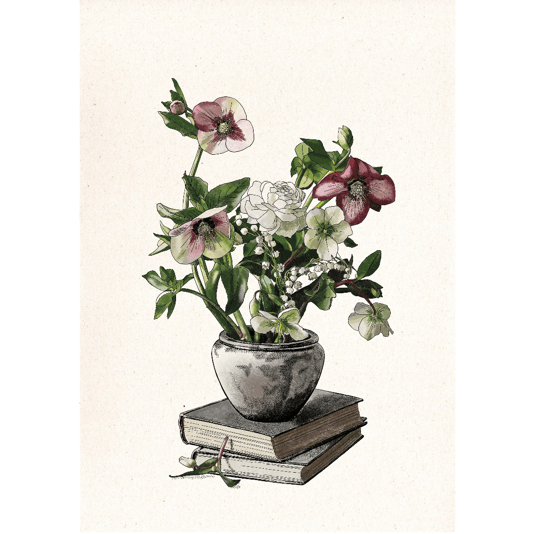 Print Botanical Study - Laura Agustí