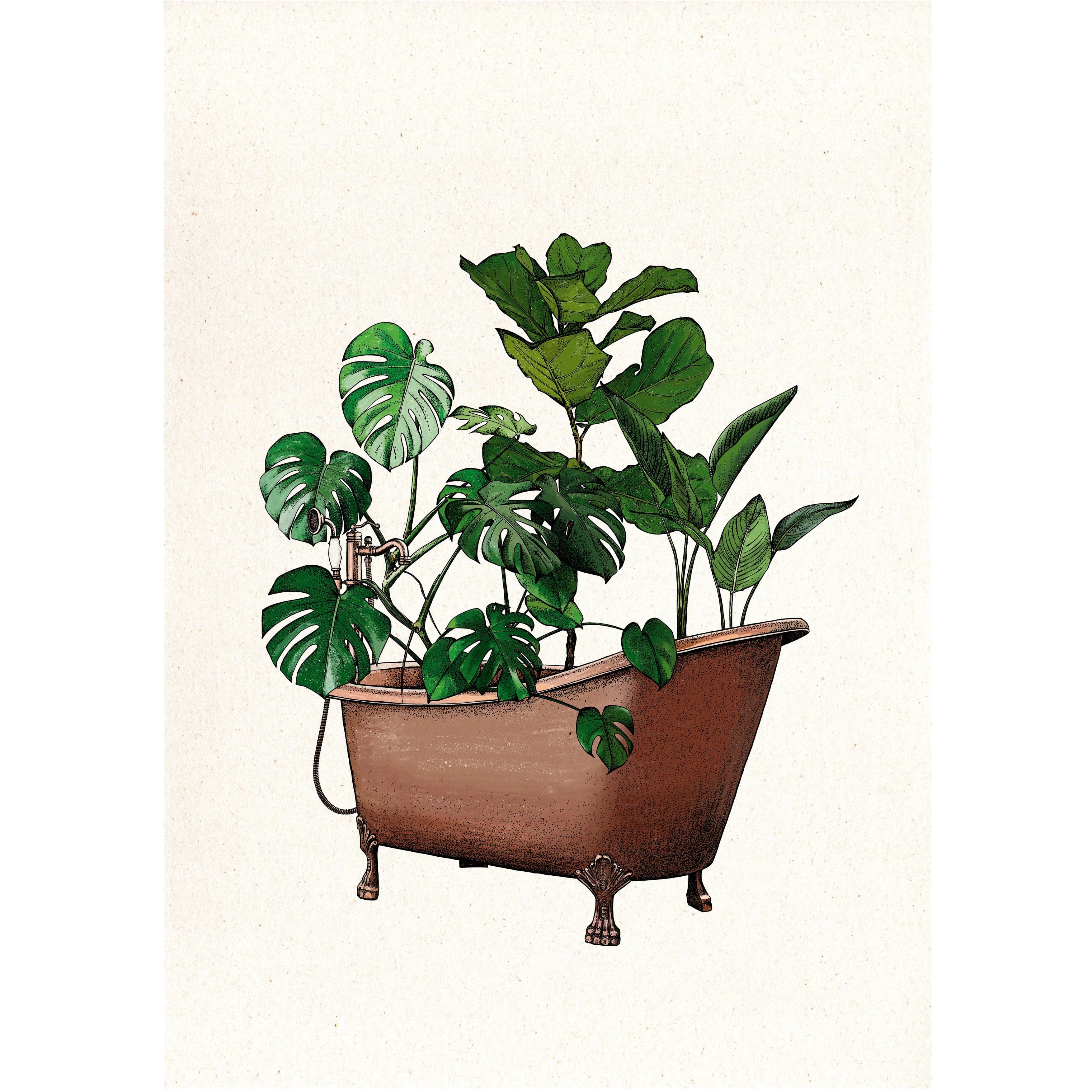 Print Plant Bath - Laura Agustí
