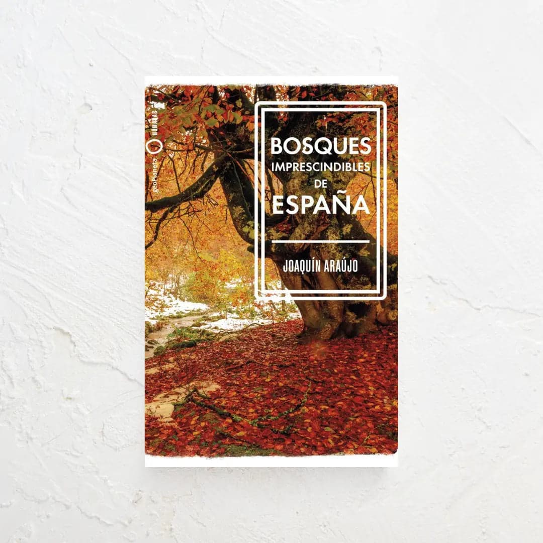 Bosques Imprescindibles de España