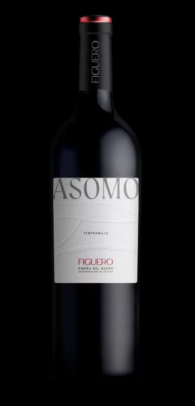 Figuero tinto roble D.O. Ribera del Duero