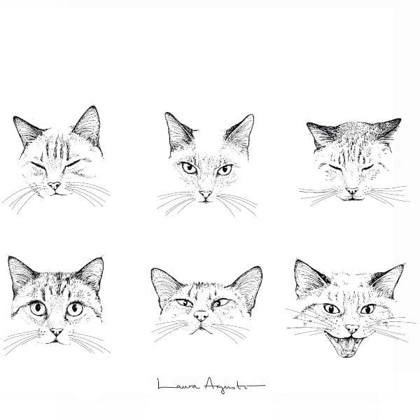 Print El lenguaje de los gatos - Laura Agustí