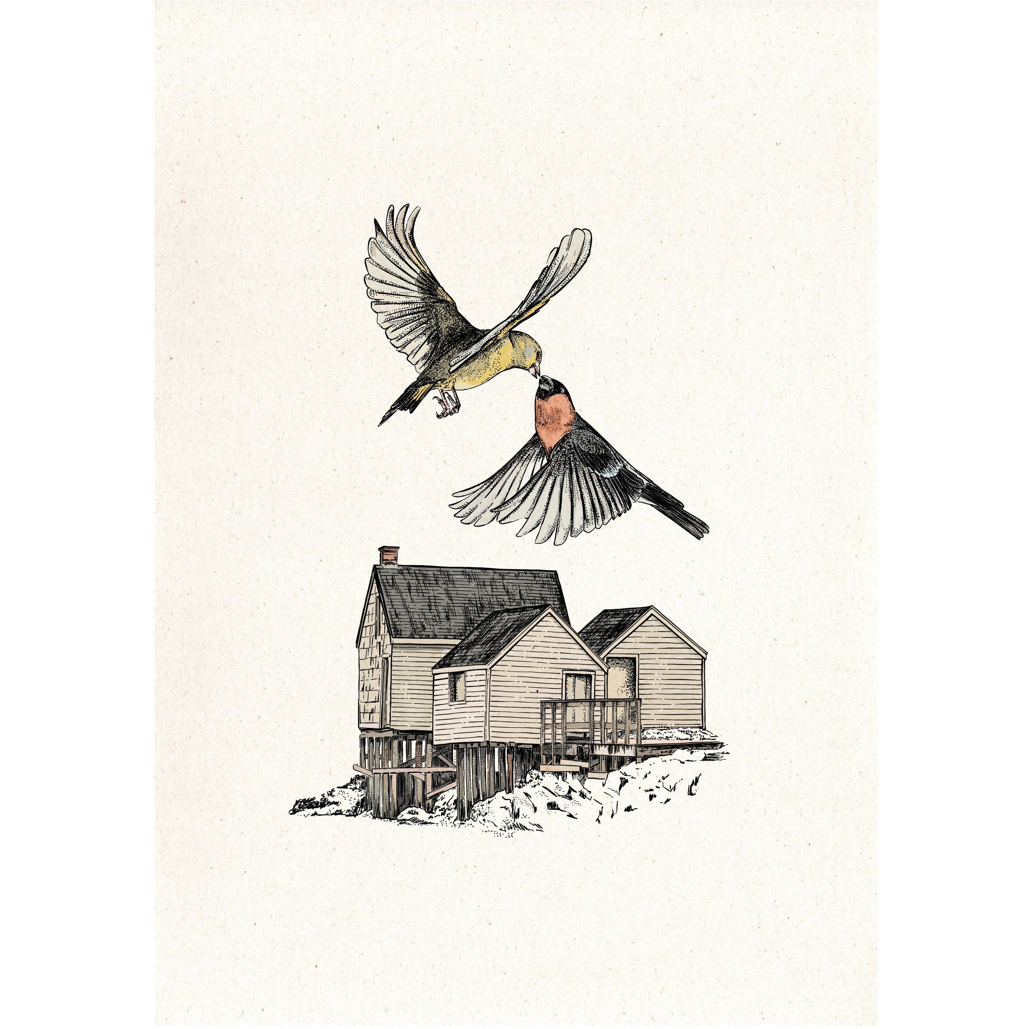 Print Birds - Laura Agustí