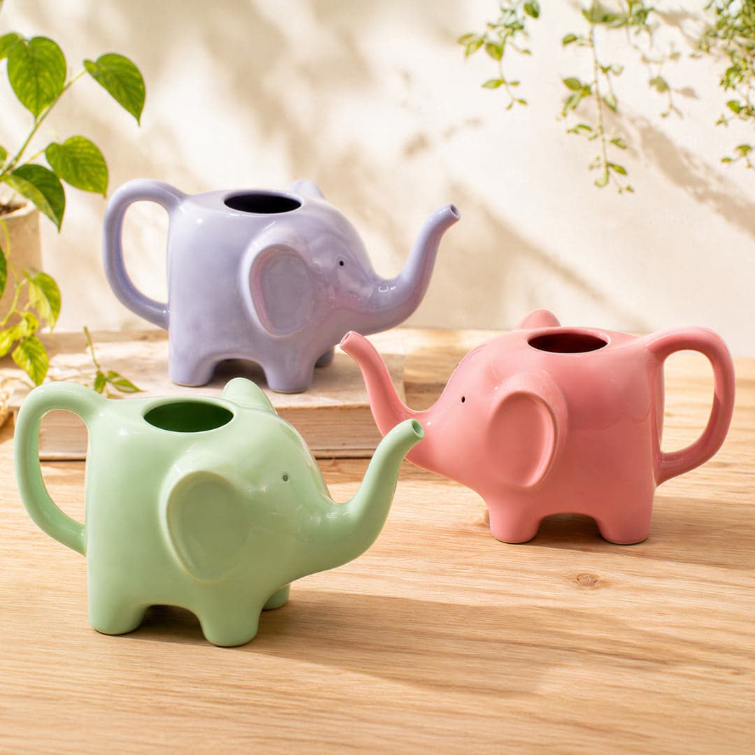 Regadera Elephantine